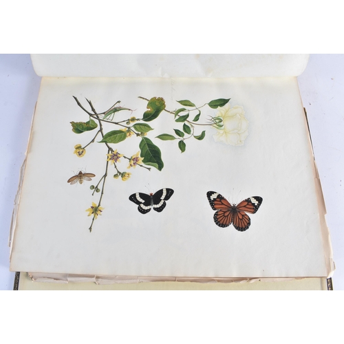 650 - A MAGNIFICANT LATE 18TH/19TH CENTURY ANGLO CHINESE ALBUM OF PAINTINGS Attributed to Win Achun , of e... 