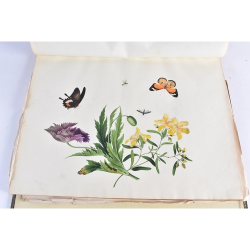 650 - A MAGNIFICANT LATE 18TH/19TH CENTURY ANGLO CHINESE ALBUM OF PAINTINGS Attributed to Win Achun , of e... 