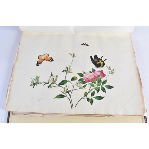 650 - A MAGNIFICANT LATE 18TH/19TH CENTURY ANGLO CHINESE ALBUM OF PAINTINGS Attributed to Win Achun , of e... 