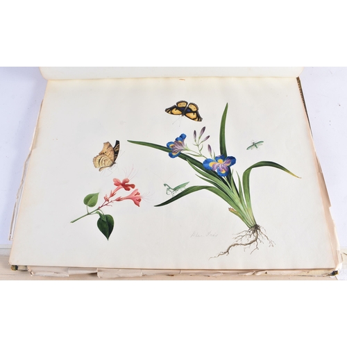 650 - A MAGNIFICANT LATE 18TH/19TH CENTURY ANGLO CHINESE ALBUM OF PAINTINGS Attributed to Win Achun , of e... 