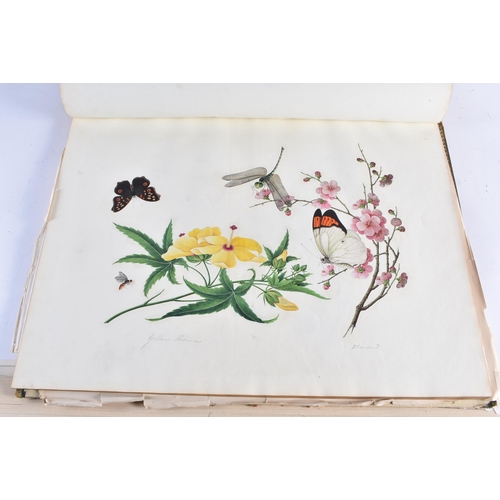 650 - A MAGNIFICANT LATE 18TH/19TH CENTURY ANGLO CHINESE ALBUM OF PAINTINGS Attributed to Win Achun , of e... 