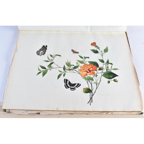 650 - A MAGNIFICANT LATE 18TH/19TH CENTURY ANGLO CHINESE ALBUM OF PAINTINGS Attributed to Win Achun , of e... 