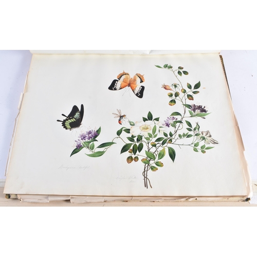 650 - A MAGNIFICANT LATE 18TH/19TH CENTURY ANGLO CHINESE ALBUM OF PAINTINGS Attributed to Win Achun , of e... 