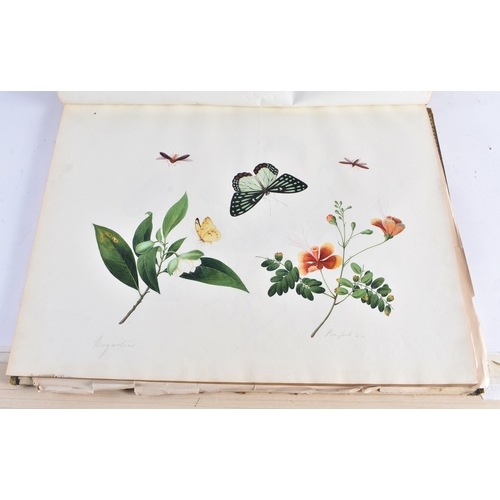 650 - A MAGNIFICANT LATE 18TH/19TH CENTURY ANGLO CHINESE ALBUM OF PAINTINGS Attributed to Win Achun , of e... 