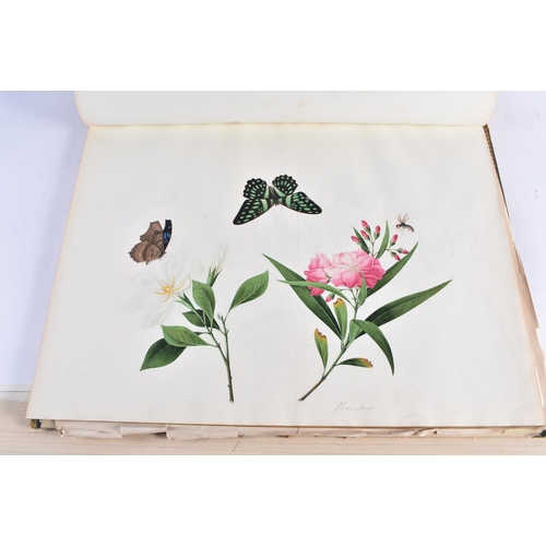 650 - A MAGNIFICANT LATE 18TH/19TH CENTURY ANGLO CHINESE ALBUM OF PAINTINGS Attributed to Win Achun , of e... 