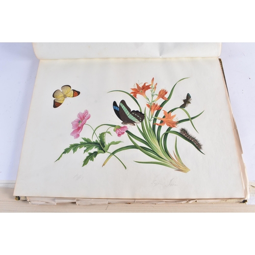 650 - A MAGNIFICANT LATE 18TH/19TH CENTURY ANGLO CHINESE ALBUM OF PAINTINGS Attributed to Win Achun , of e... 