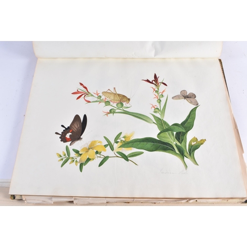 650 - A MAGNIFICANT LATE 18TH/19TH CENTURY ANGLO CHINESE ALBUM OF PAINTINGS Attributed to Win Achun , of e... 