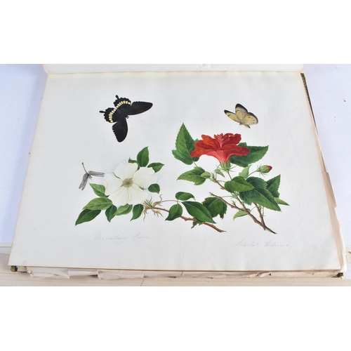 650 - A MAGNIFICANT LATE 18TH/19TH CENTURY ANGLO CHINESE ALBUM OF PAINTINGS Attributed to Win Achun , of e... 