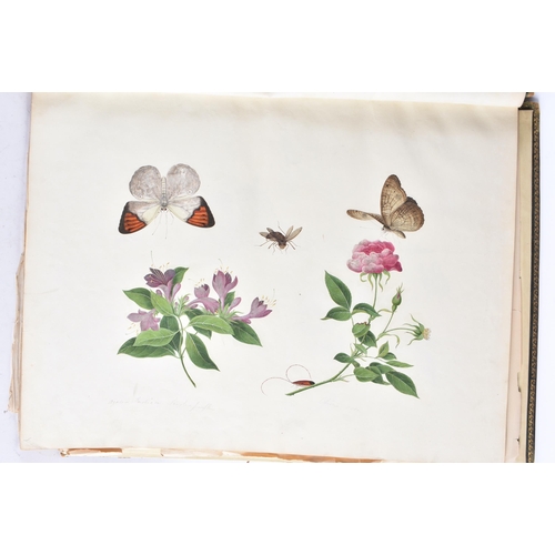 650 - A MAGNIFICANT LATE 18TH/19TH CENTURY ANGLO CHINESE ALBUM OF PAINTINGS Attributed to Win Achun , of e... 