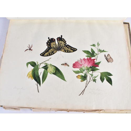 650 - A MAGNIFICANT LATE 18TH/19TH CENTURY ANGLO CHINESE ALBUM OF PAINTINGS Attributed to Win Achun , of e... 