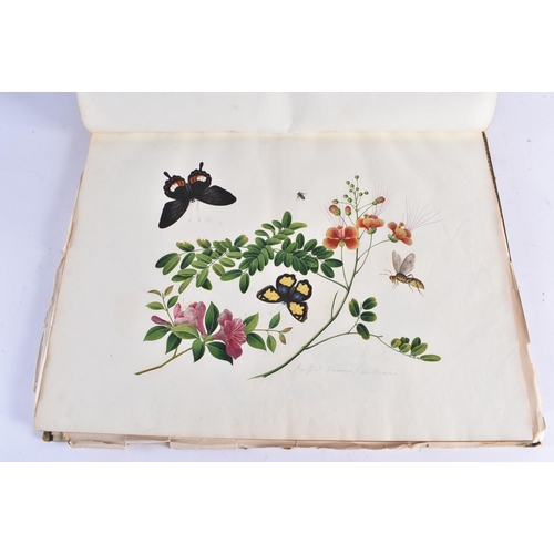 650 - A MAGNIFICANT LATE 18TH/19TH CENTURY ANGLO CHINESE ALBUM OF PAINTINGS Attributed to Win Achun , of e... 