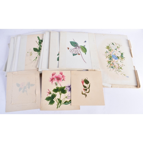 652 - A COLLECTION OF 19TH/20TH CENTURY BOTANICAL WATERCOLOURS AND PAINTINGS possibly including some later... 