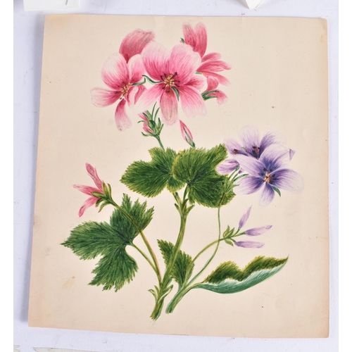 652 - A COLLECTION OF 19TH/20TH CENTURY BOTANICAL WATERCOLOURS AND PAINTINGS possibly including some later... 