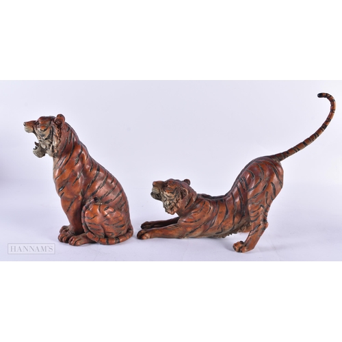 797 - A PAIR OF CONTINENTAL COLD PAINTED BRONZE TIGERS. 23 cm high.