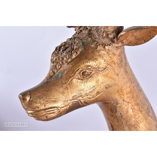 799 - A LARGE PAIR OF 18TH/19TH CENTURY INDIAN LACQUERED BRONZE DEER decorated with motifs. 54 cm x 50 cm.