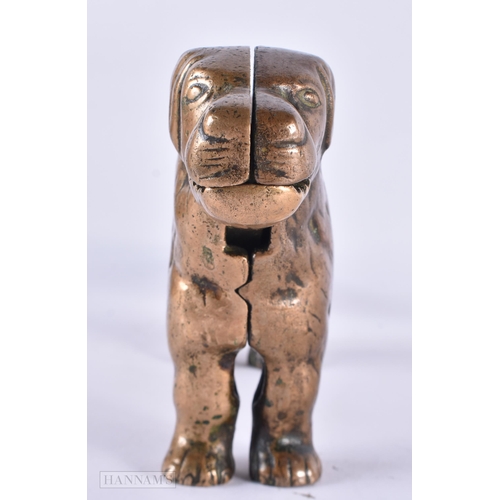 818 - A VICTORIAN BRONZE DOG NUT CRACKER. 25 cm wide.