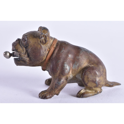 1081 - AN ANTIQUE COLD PAINTED SPELTER DOG CHEROOT CUTTER. 8.25 cm x 4.5 cm.