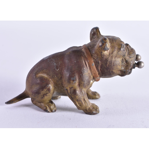 1081 - AN ANTIQUE COLD PAINTED SPELTER DOG CHEROOT CUTTER. 8.25 cm x 4.5 cm.