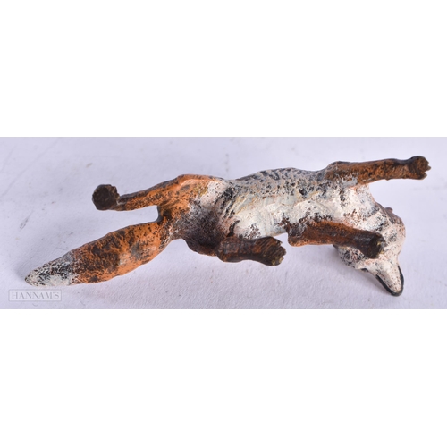 3981 - A Cold Painted Bronze Fox. 6.9cm x 2.7cm x 2.6cm