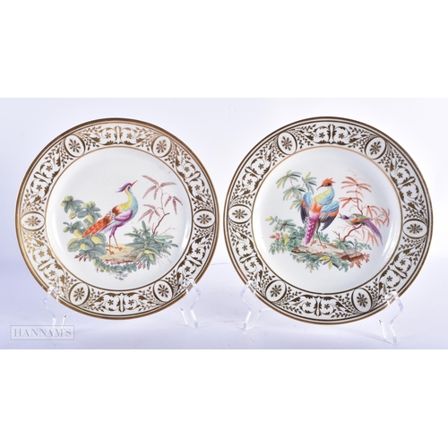 154 - A PAIR OF EARLY 19TH CENTURY COALPORT PORCELAIN PLATES painted with birds. 21.5 cm diameter.