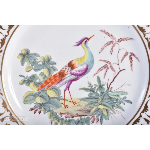 154 - A PAIR OF EARLY 19TH CENTURY COALPORT PORCELAIN PLATES painted with birds. 21.5 cm diameter.