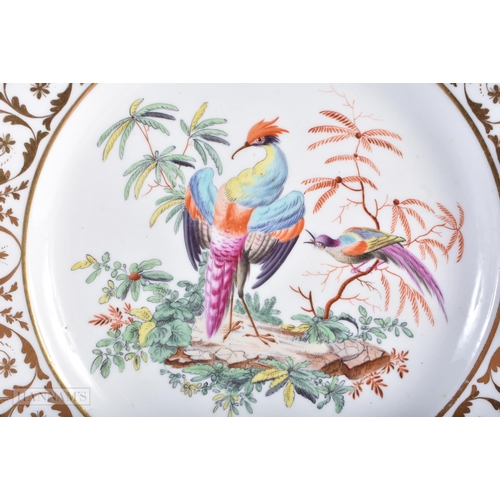 154 - A PAIR OF EARLY 19TH CENTURY COALPORT PORCELAIN PLATES painted with birds. 21.5 cm diameter.