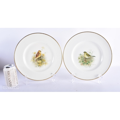 184 - A LARGE PAIR OF ROYAL WORCESTER PORCELAIN PLATES by Townsend. 25 cm diameter.