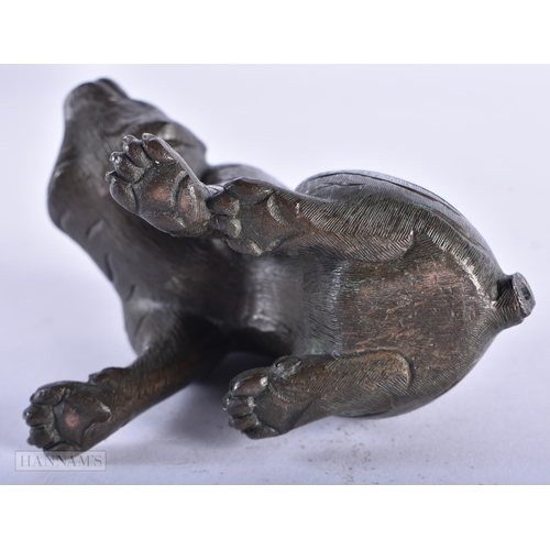 199 - A 19TH CENTURY JAPANESE MEIJI PERIOD BRONZE OKIMONO modelled as a tiger. 8 cm x 8 cm.