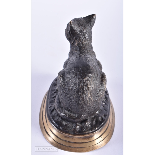 263 - A BRONZE FIGURE OF A CAT After Pierre Jules Mene. 12 cm x 12 cm.