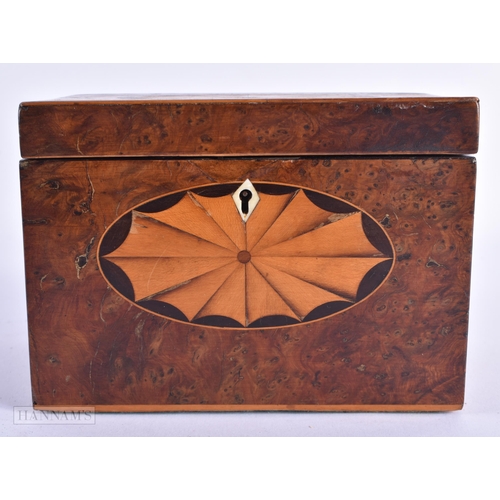 37 - A GEORGE III BURR WALNUT TEA CADDY. 15cm x 8 cm x 12 cm.