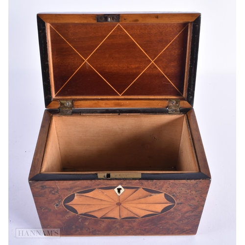 37 - A GEORGE III BURR WALNUT TEA CADDY. 15cm x 8 cm x 12 cm.