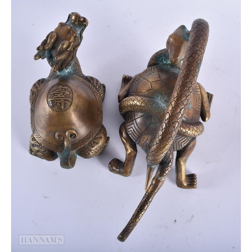 483 - FOUR BRONZE TORTOISE. Largest 24 cm wide. (4)