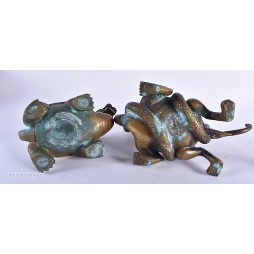 483 - FOUR BRONZE TORTOISE. Largest 24 cm wide. (4)