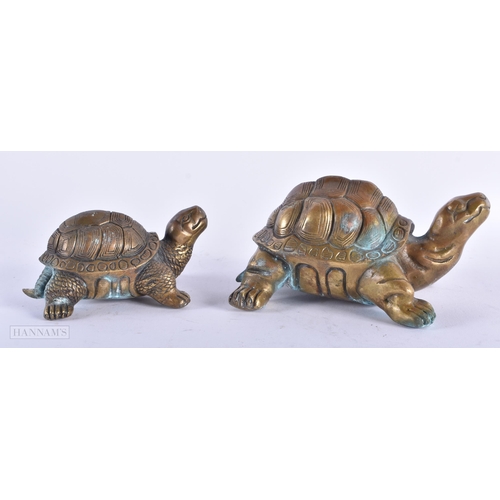 483 - FOUR BRONZE TORTOISE. Largest 24 cm wide. (4)