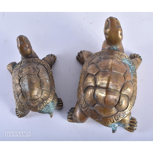 483 - FOUR BRONZE TORTOISE. Largest 24 cm wide. (4)