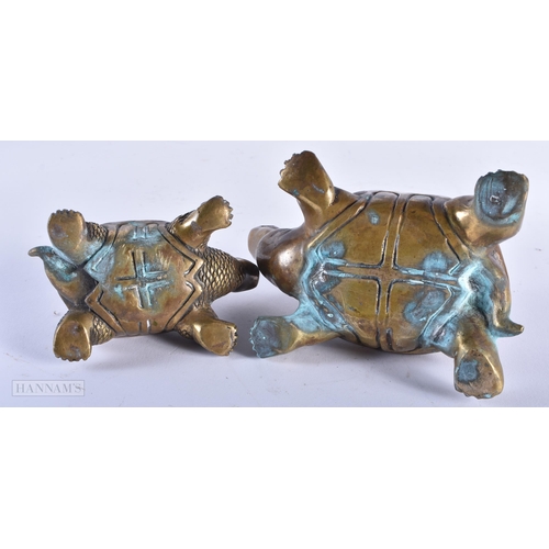 483 - FOUR BRONZE TORTOISE. Largest 24 cm wide. (4)