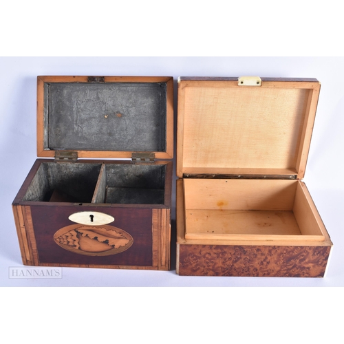 50 - A GEORGE III MAHOGANY TEA CADDY together with an art deco burr walnut humidor. Largest 18cm wide. (2... 