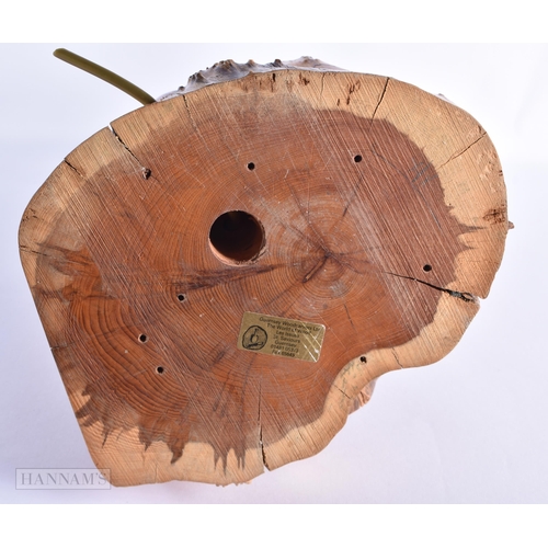 51 - A LARGE EARLY 20TH CENTURY YEW WOOD RUSTIC LAMP of naturalistic form. 52 cm x 22cm.