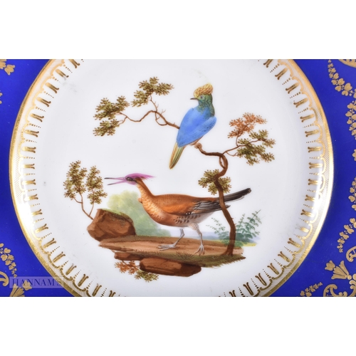 537 - A PAIR OF 19TH CENTURY FRENCH SEVRES PORCELAIN CABINET PLATES painted with ornithological scenes. 23... 