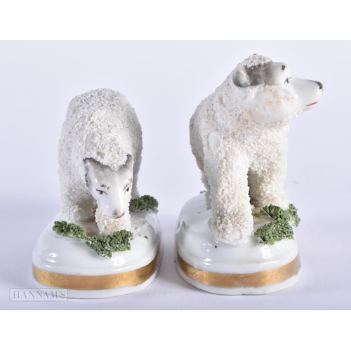 564 - A PAIR OF ANTIQUE ANTLERS together with two staffordshire polar bears. Largest 18cm x 12 cm. (3)