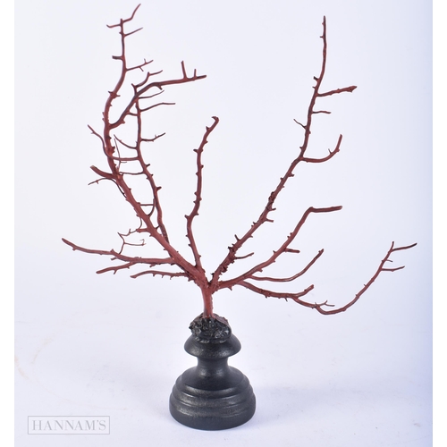 684 - A RED STICK CORAL SPECIMEN. 26 cm. 12 cm.