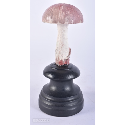 688 - A FOLK ART PAINTED WOOD MUSHROOM SPECIMEN. 18cm high.