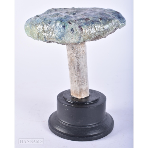 691 - A FOLK ART PAINTED WOOD MUSHROOM SPECIMEN. 19 cm high.