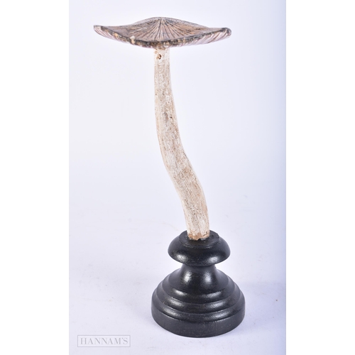 693 - A FOLK ART PAINTED WOOD MUSHROOM SPECIMEN. 23 cm high.