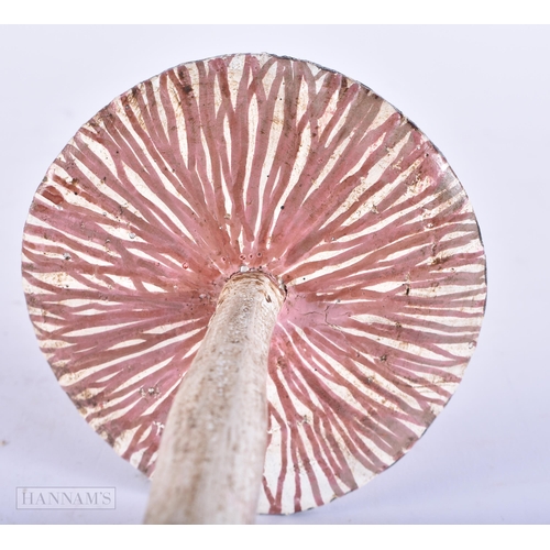 693 - A FOLK ART PAINTED WOOD MUSHROOM SPECIMEN. 23 cm high.