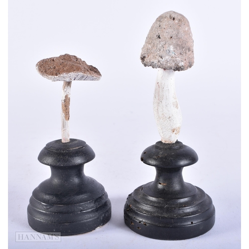 695 - TWO FOLK ART PAINTED WOOD MUSHROOM SPECIMENS. 15cm high. (2)