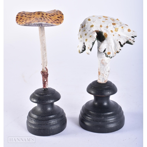 696 - TWO FOLK ART PAINTED WOOD MUSHROOM SPECIMENS. 15cm high. (2)