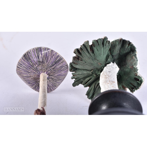 696 - TWO FOLK ART PAINTED WOOD MUSHROOM SPECIMENS. 15cm high. (2)