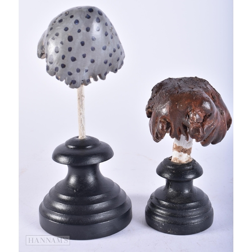 697 - TWO FOLK ART PAINTED WOOD MUSHROOM SPECIMENS. 15cm high. (2)