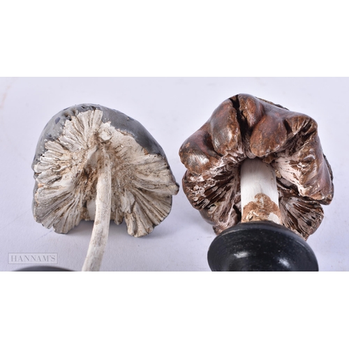 697 - TWO FOLK ART PAINTED WOOD MUSHROOM SPECIMENS. 15cm high. (2)